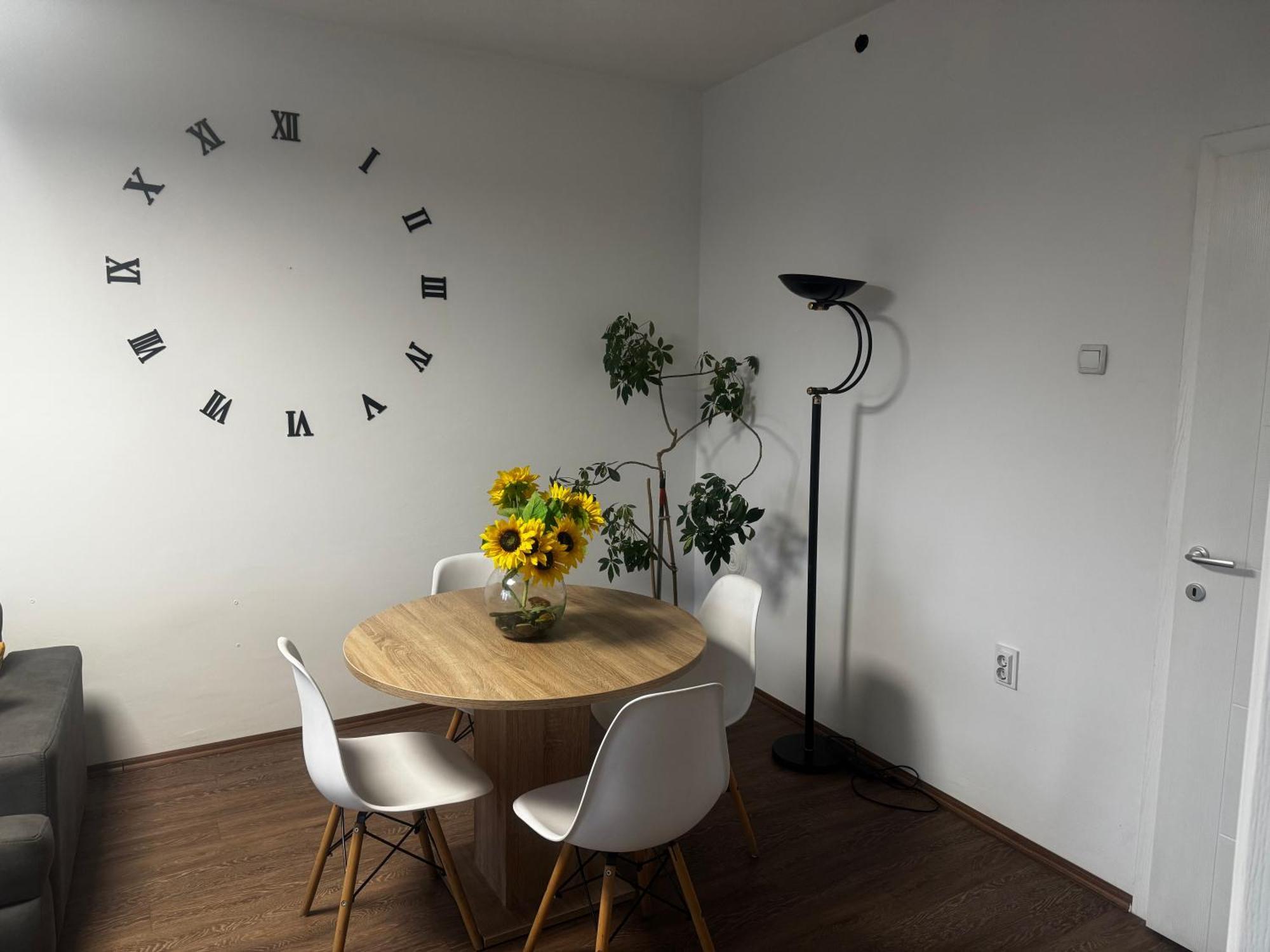 Center Apartments 스코페 외부 사진
